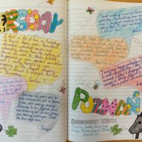 P46 - Pilgrim Diary